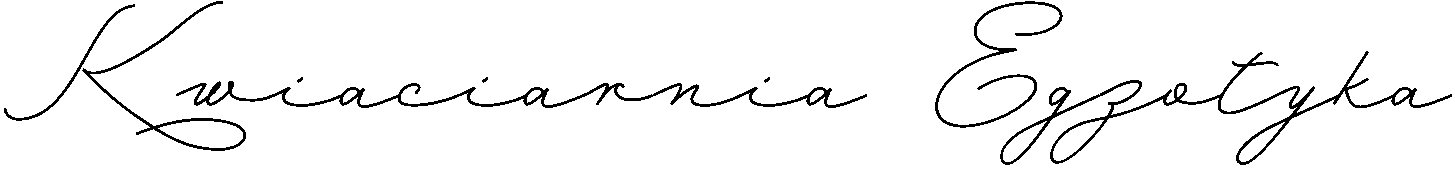 Kwiaciarnia Egzotyka